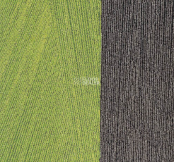 Milliken Facet ftr 79-103-141 Lime Anthracite фото 1 | FLOORDEALER